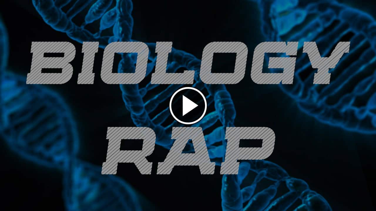 Memory: Biology Rap