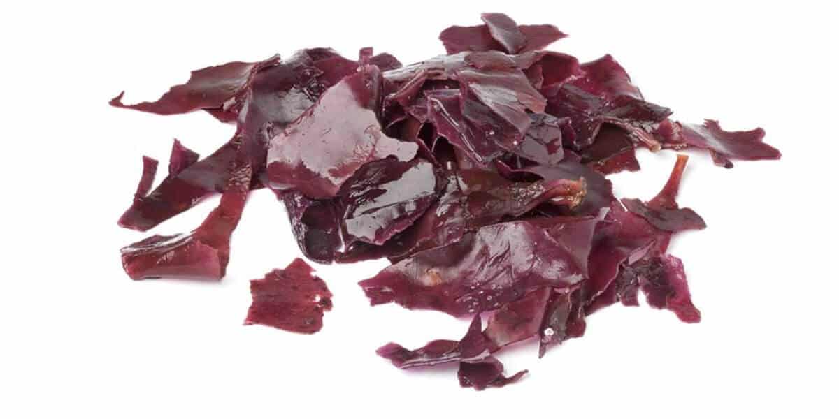 Healthy Food for Kids: Dulse