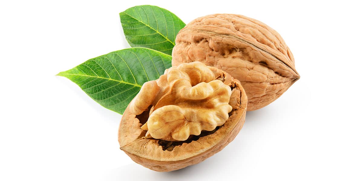 Healthy Food for Kids: Walnuts